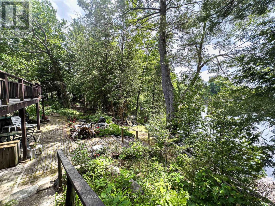 25 GOVERNMENT DOCK ROAD, 
