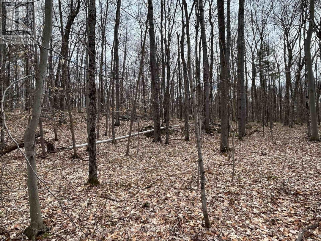 0 TALLY HO WINTER PARK ROAD, Lake of Bays (Sinclair)