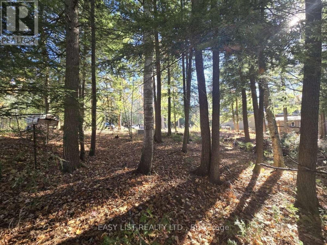 LOT 14 LAIDLAW AVENUE, Severn River