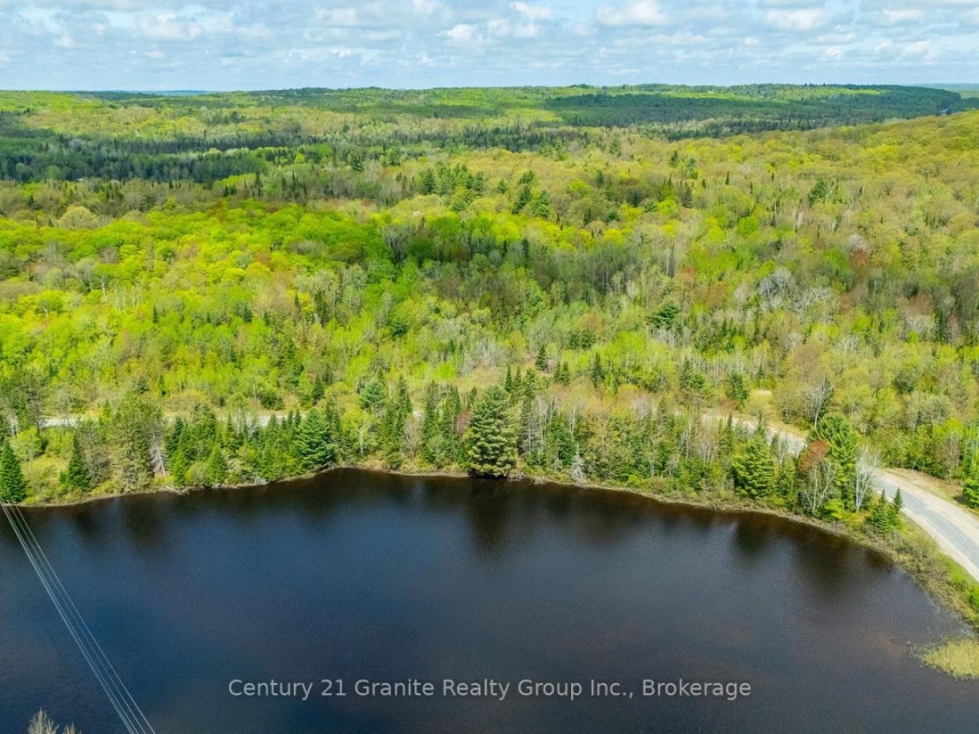 0 KOSHLONG LAKE ROAD, Burnt Lake