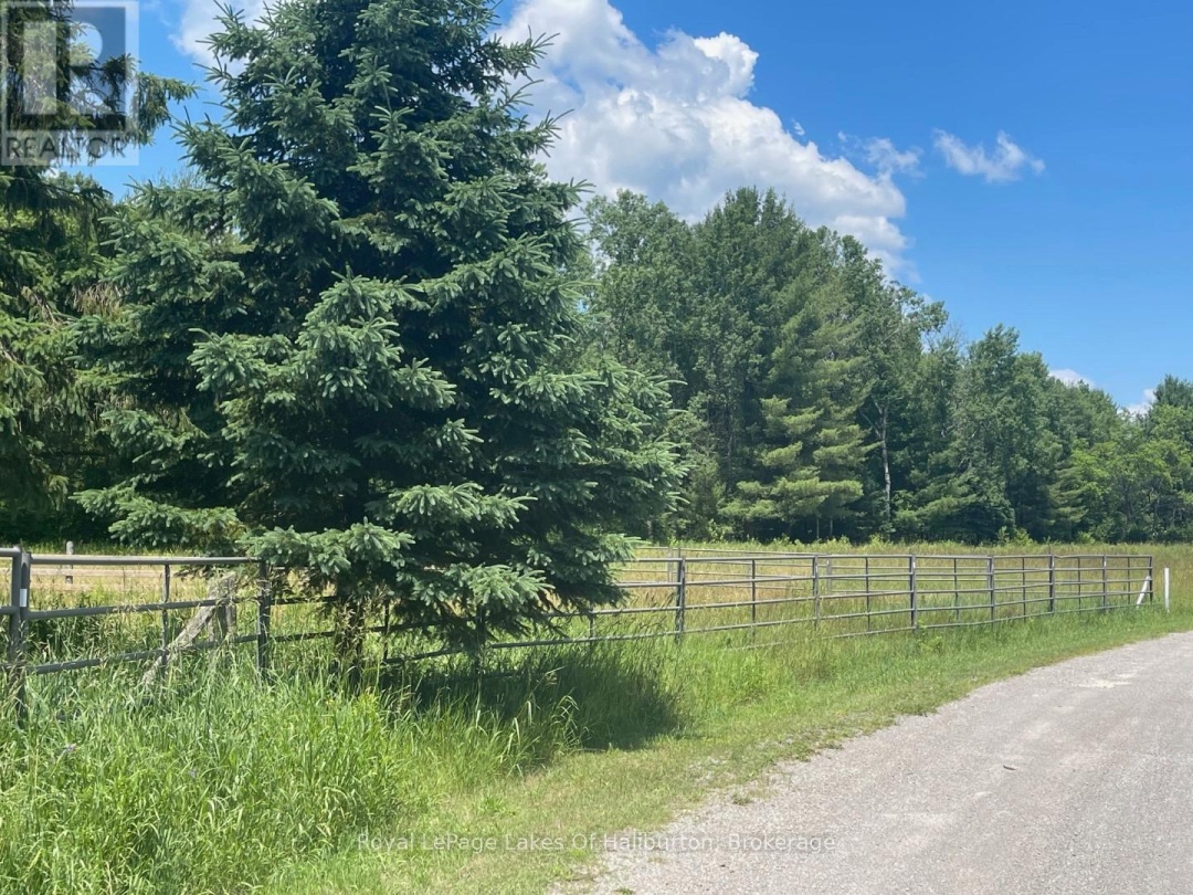 1036 PRIVET DRIVE, Burnt River