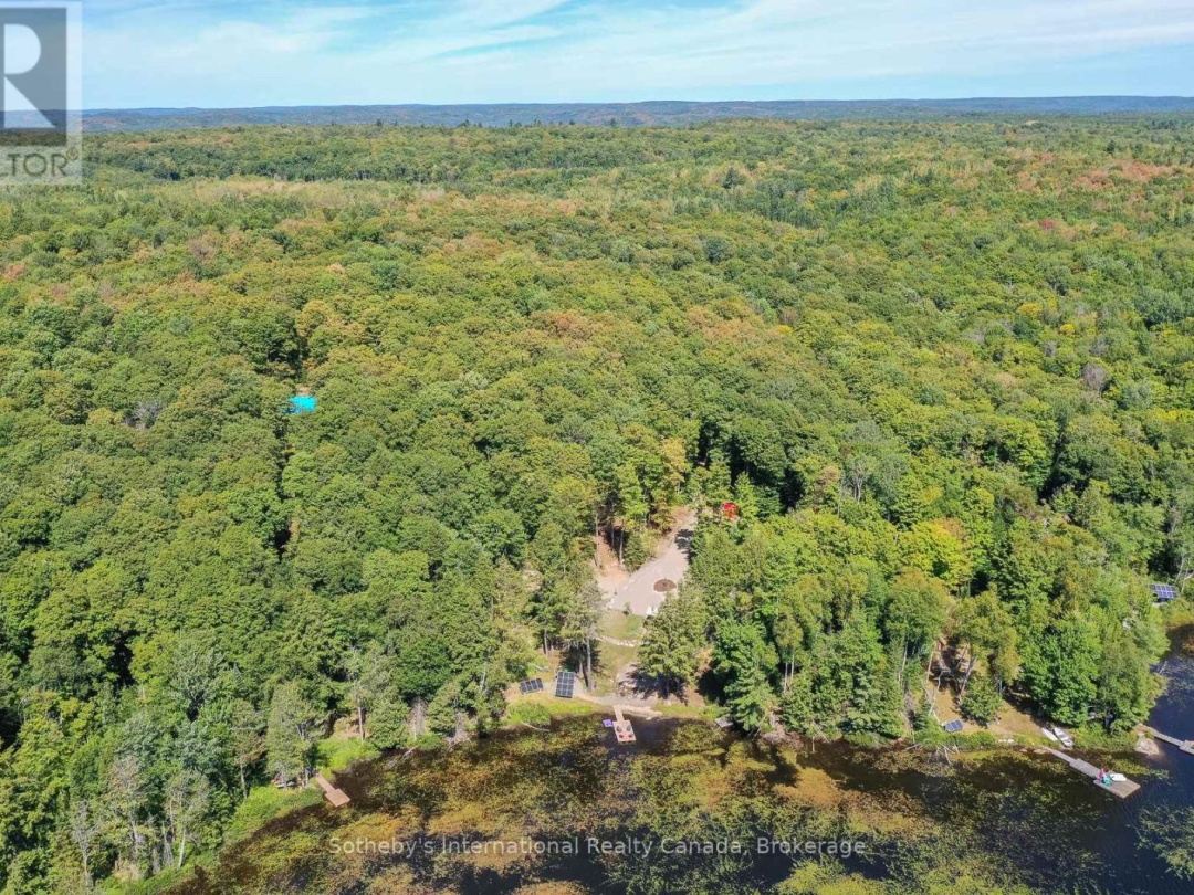1211 PLUTO TRAIL, Boyne Lake