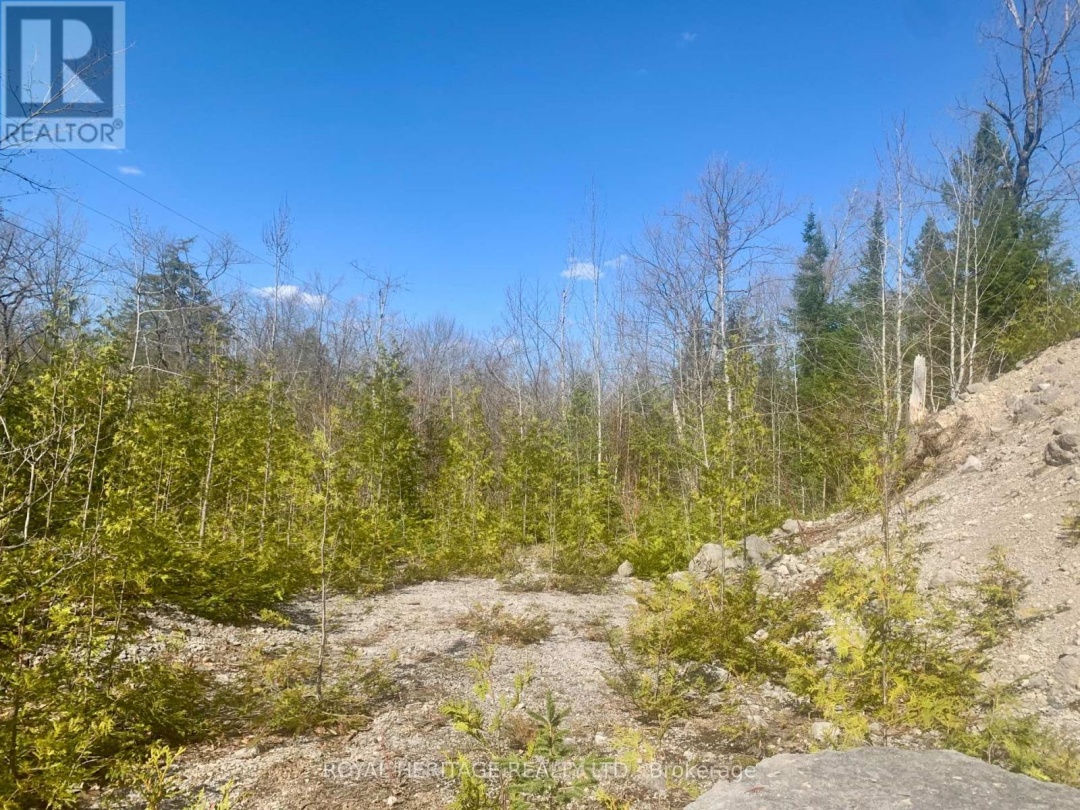 0 PT LT 32 COUNTY ROAD 49 ROAD, Trent Lakes