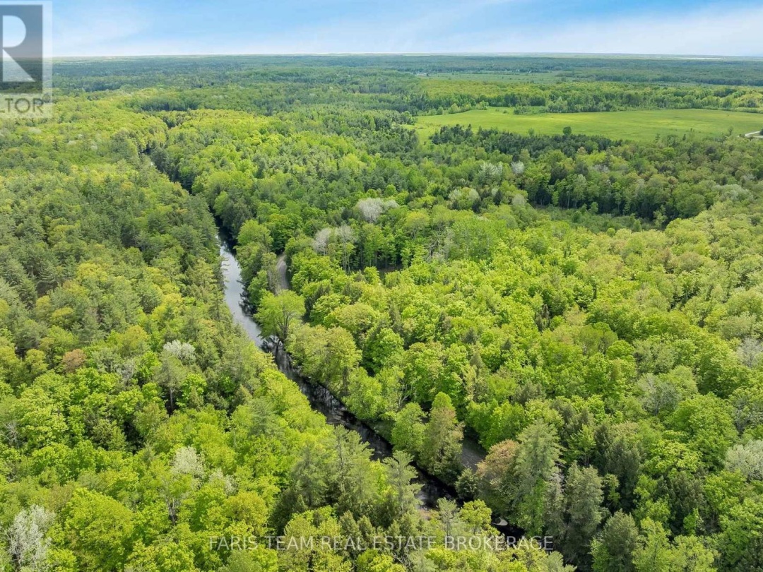 7950 KINGS RIVER ROAD, Ramara