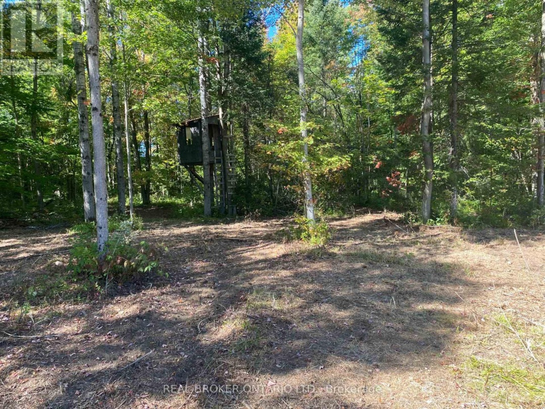 1248 BEIERS ROAD, Gravenhurst (Morrison)