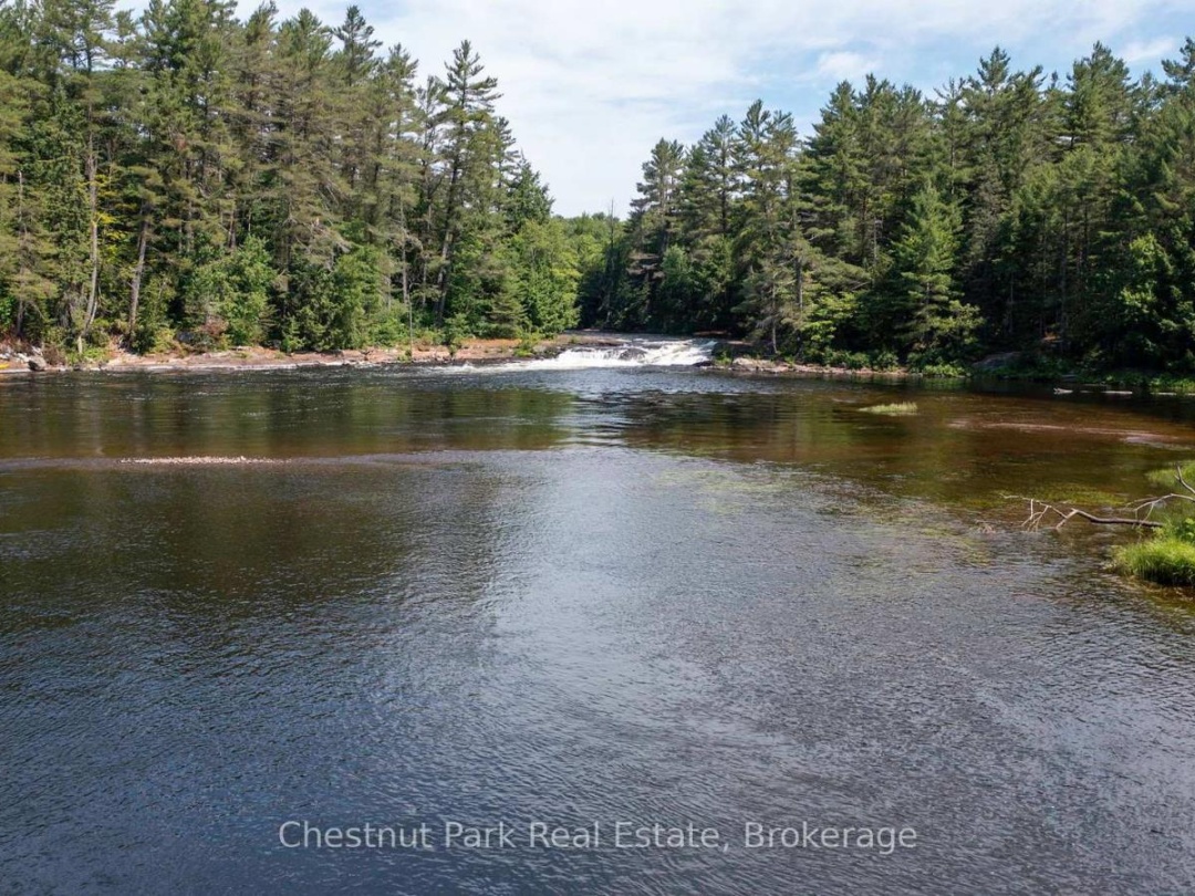1277 SHERWOOD FOREST ROAD, 