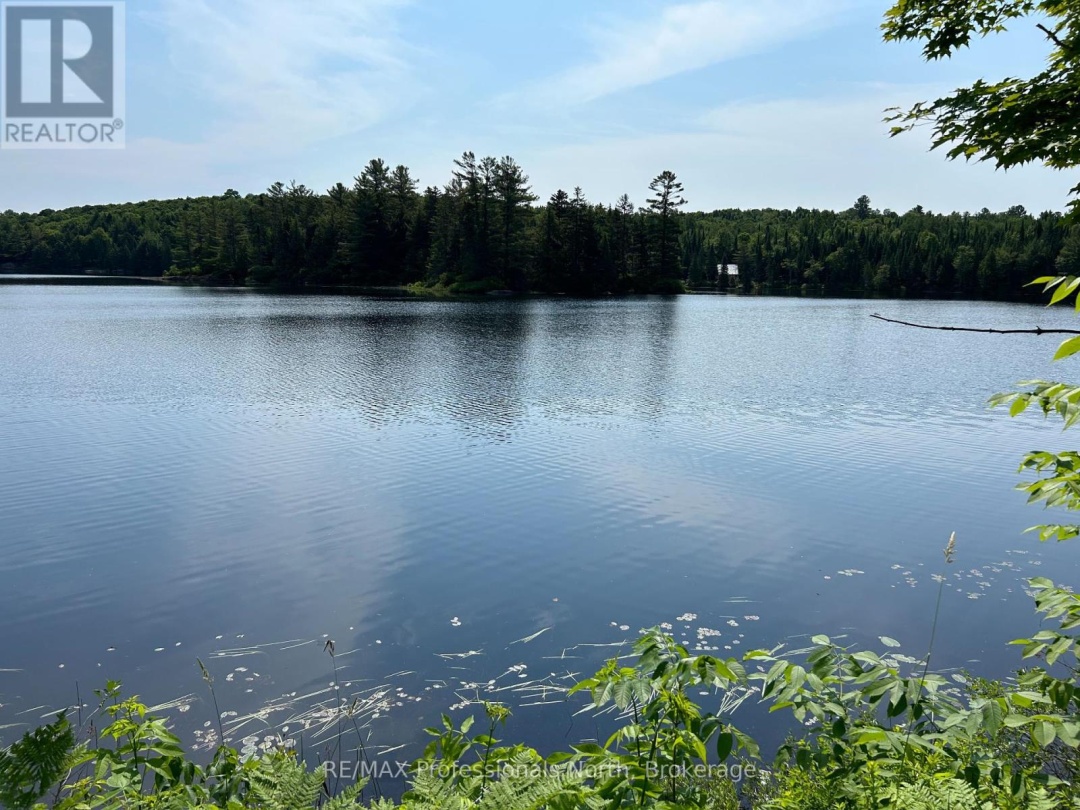 0 BRADY LAKE ROAD, Brady Lake