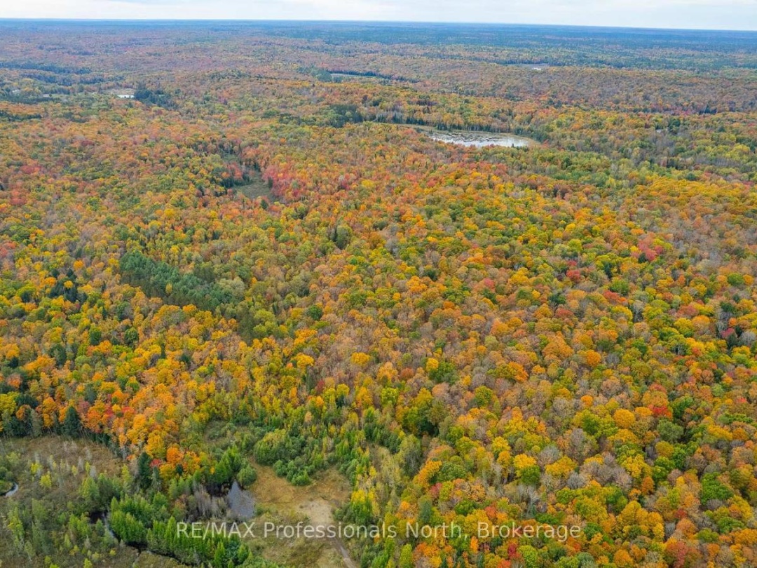 1600 BOBCAYGEON ROAD, Minden Hills (Minden)