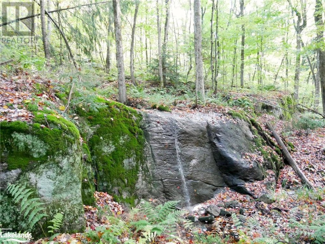 64 NIPISSING ROAD, Seguin