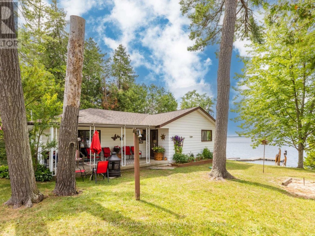 36 GOODMAN ROAD, 
