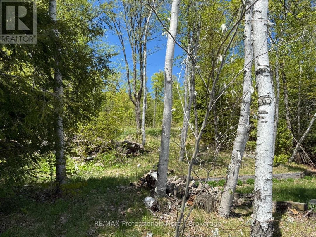 2612 WILKINSON ROAD, Kennisis Lake