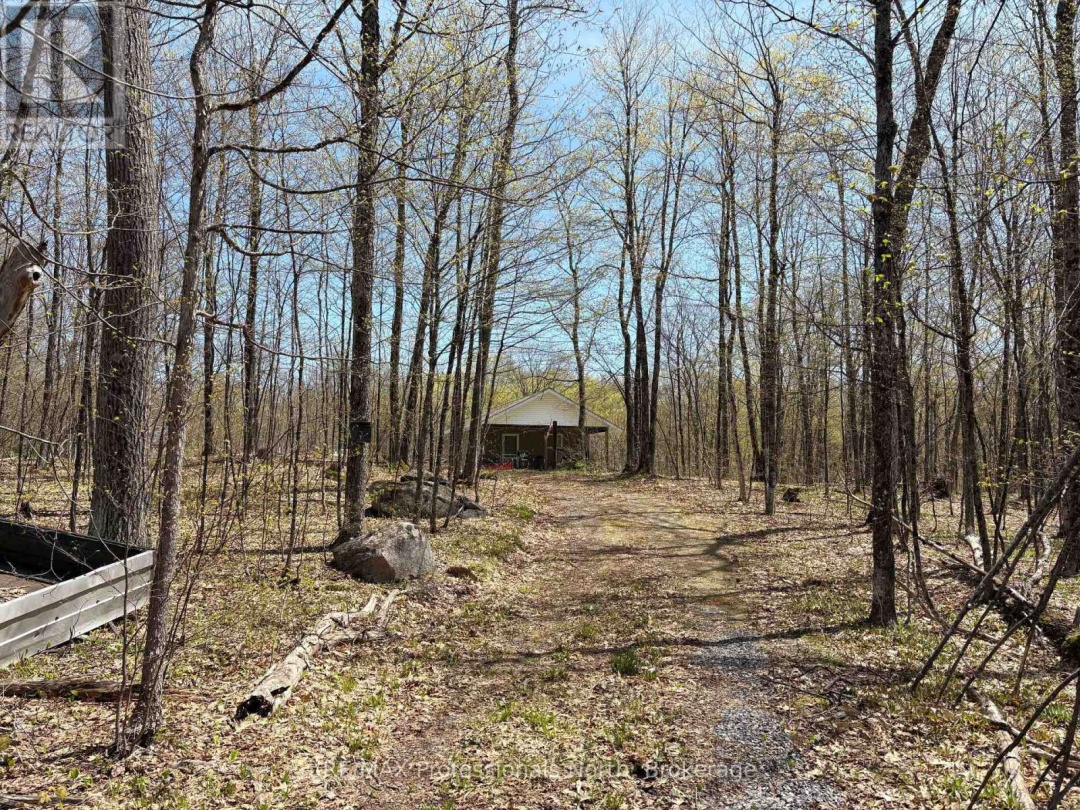 2346 KUSHOG LAKE ROAD, Algonquin Highlands (Stanhope)