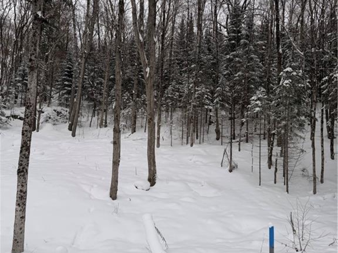 LOT 23 GLEN EAGLE Court, Huntsville