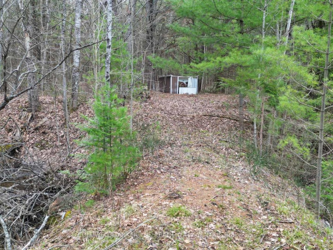 2493 HOUSEY'S RAPIDS ROAD, Kawartha Lakes (Dalton)