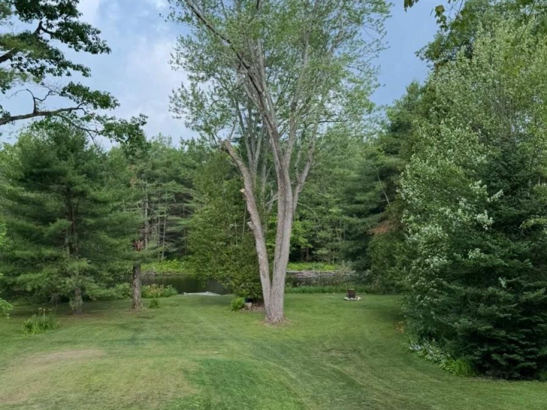 3000 WHELAN WAY, Black River