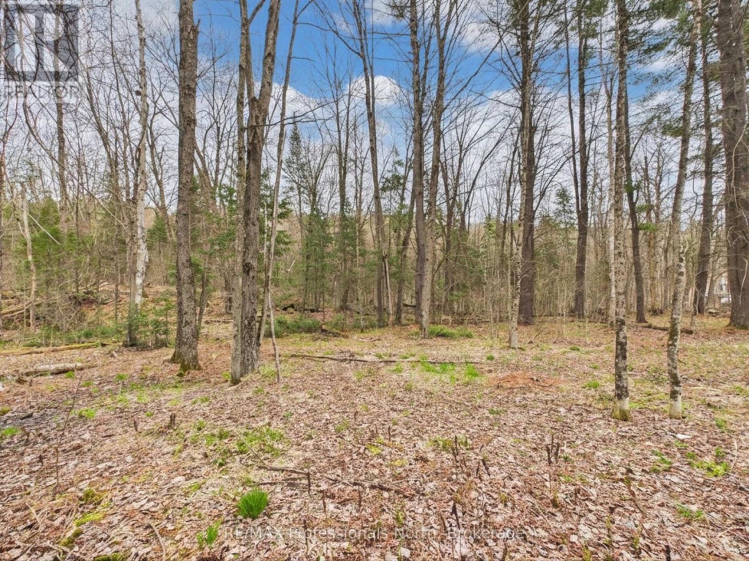 0 EAST WALKER LAKE DRIVE, Lake of Bays (Sinclair)