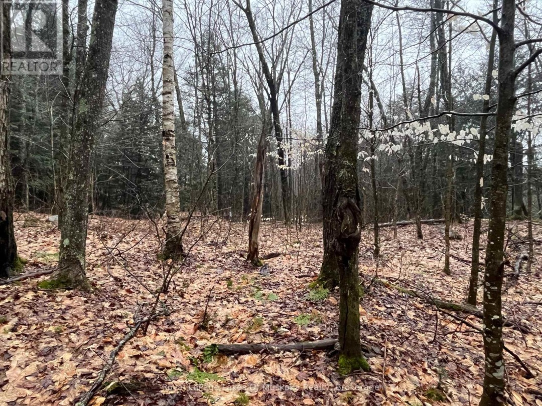 LOT 90 LOOKOUT POINT ROAD, Lake Vernon