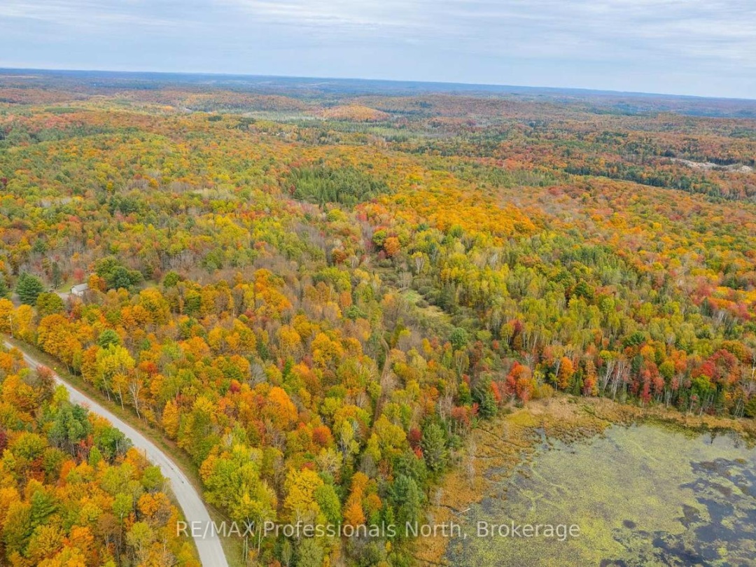 1600 BOBCAYGEON ROAD, Minden Hills (Minden)