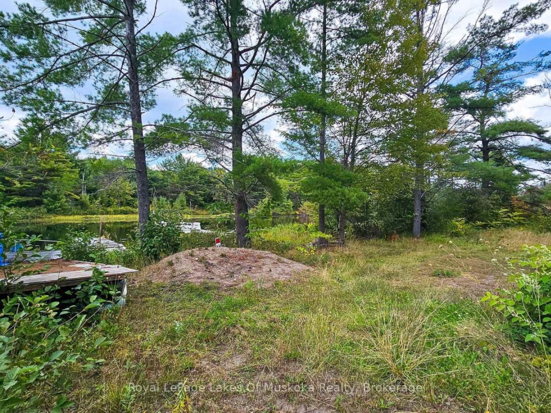 0 MUSKOKA RIVER, 