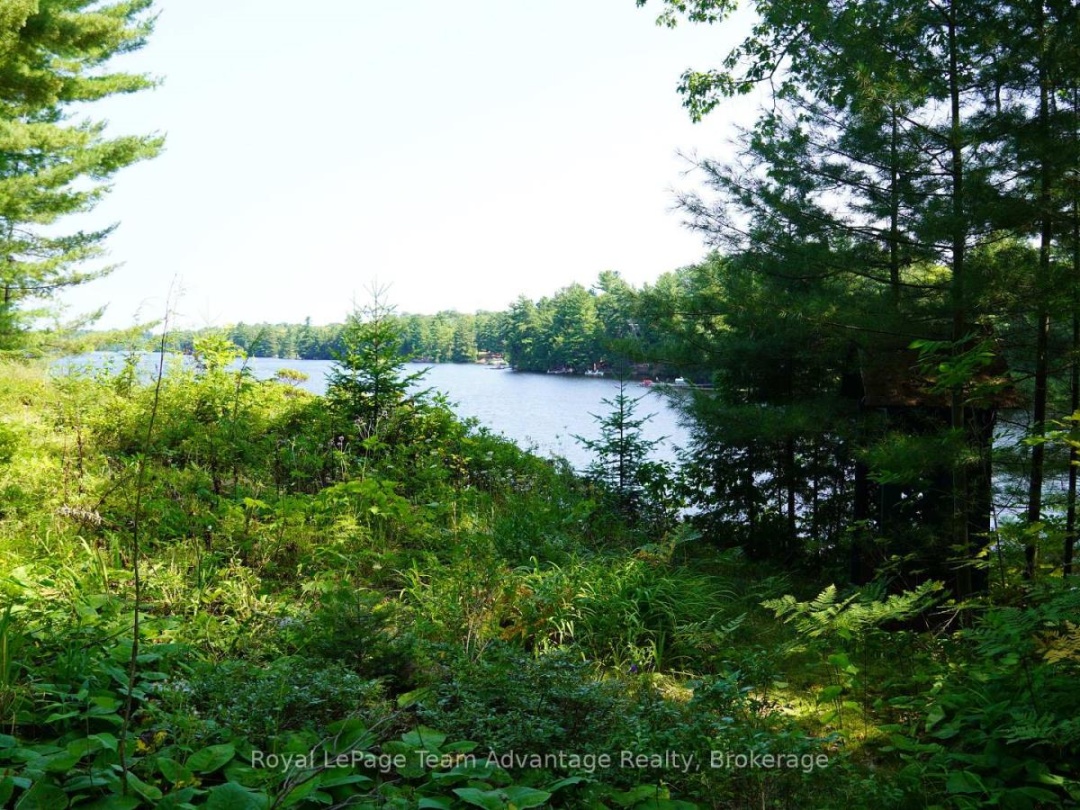 25 PENINSULA SHORE ROAD E, Harris Lake