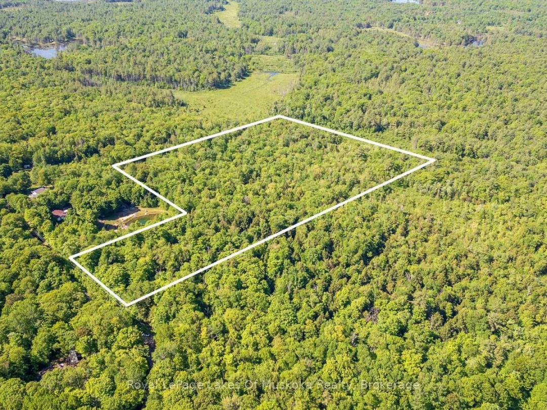 1061 SOUTH MULDREW LAKE ROAD, Gravenhurst (Morrison)