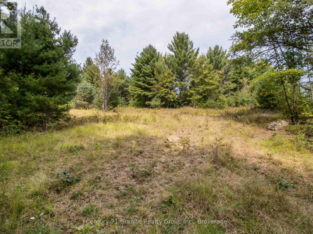 4729 COUNTY ROAD 121, Minden Hills (Lutterworth)