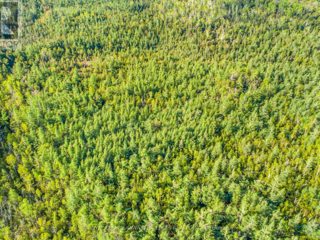 LOT 3 BLACK SCHOOL ROAD, Kawartha Lakes (Mariposa)