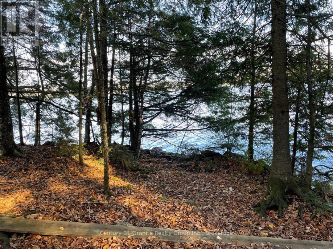 1038 BROKEN PADDLE ROAD, Miskwabi Lake