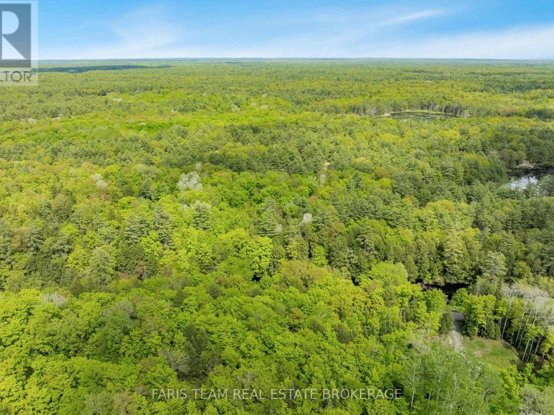 7950 KINGS RIVER ROAD, 