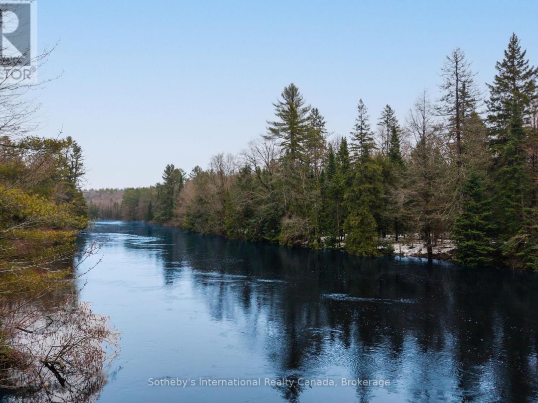 1000 ALPINE RANCH ROAD, North Branch Muskoka River
