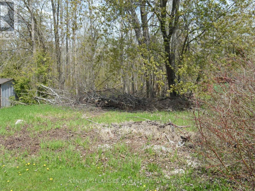2689 Lakeshore Drive, Ramara (Brechin)