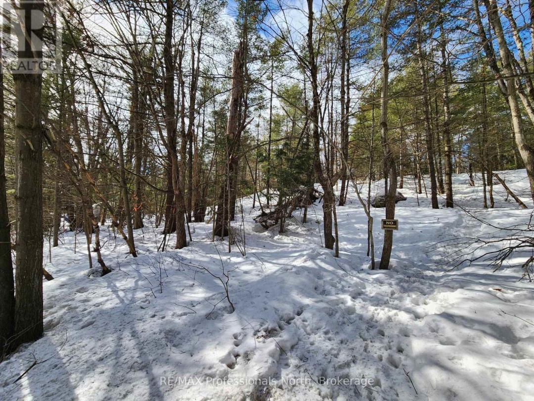 00 MANITOBA STREET, Bracebridge (Macaulay)