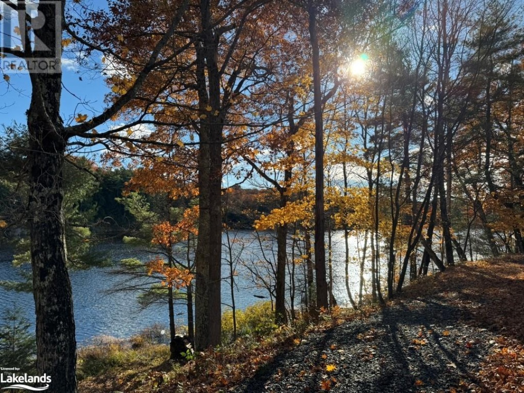 98 Route 66 Route, Murdock Lake