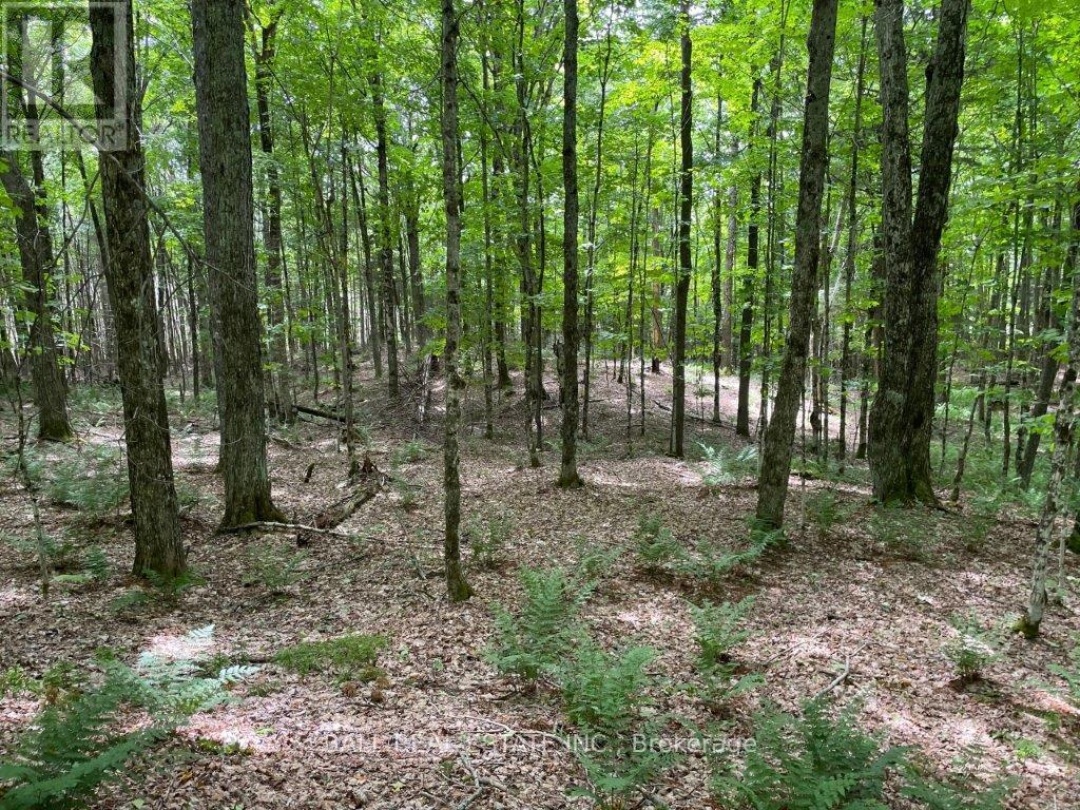 1350 HALIBURTON LAKE RD, Dysart et al (Dysart)
