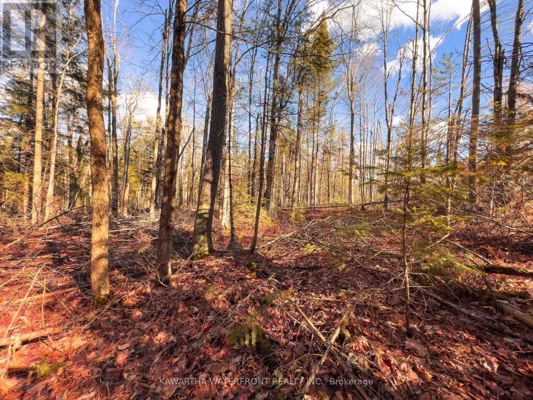 0 WEISMULLER LANE, Bracebridge (Draper)