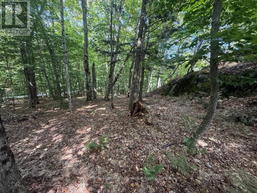 LOT 85 BRENNAN CIRCLE, Lake Vernon