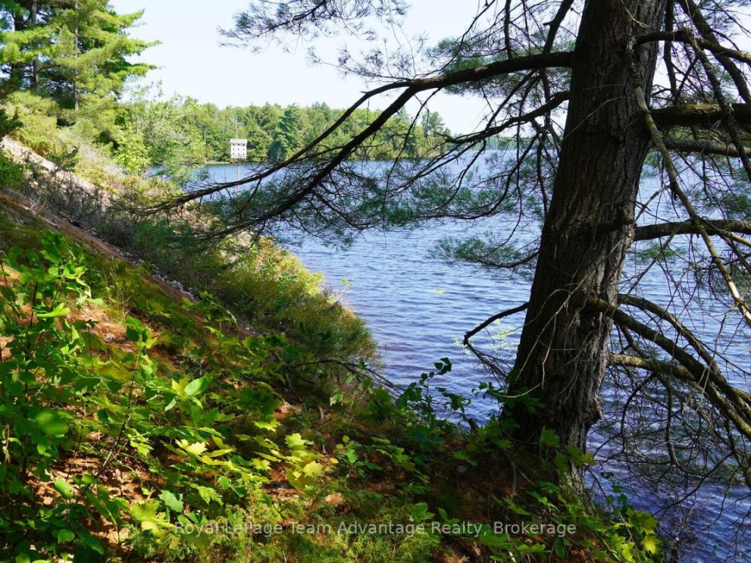 25 PENINSULA SHORE ROAD E, Harris Lake