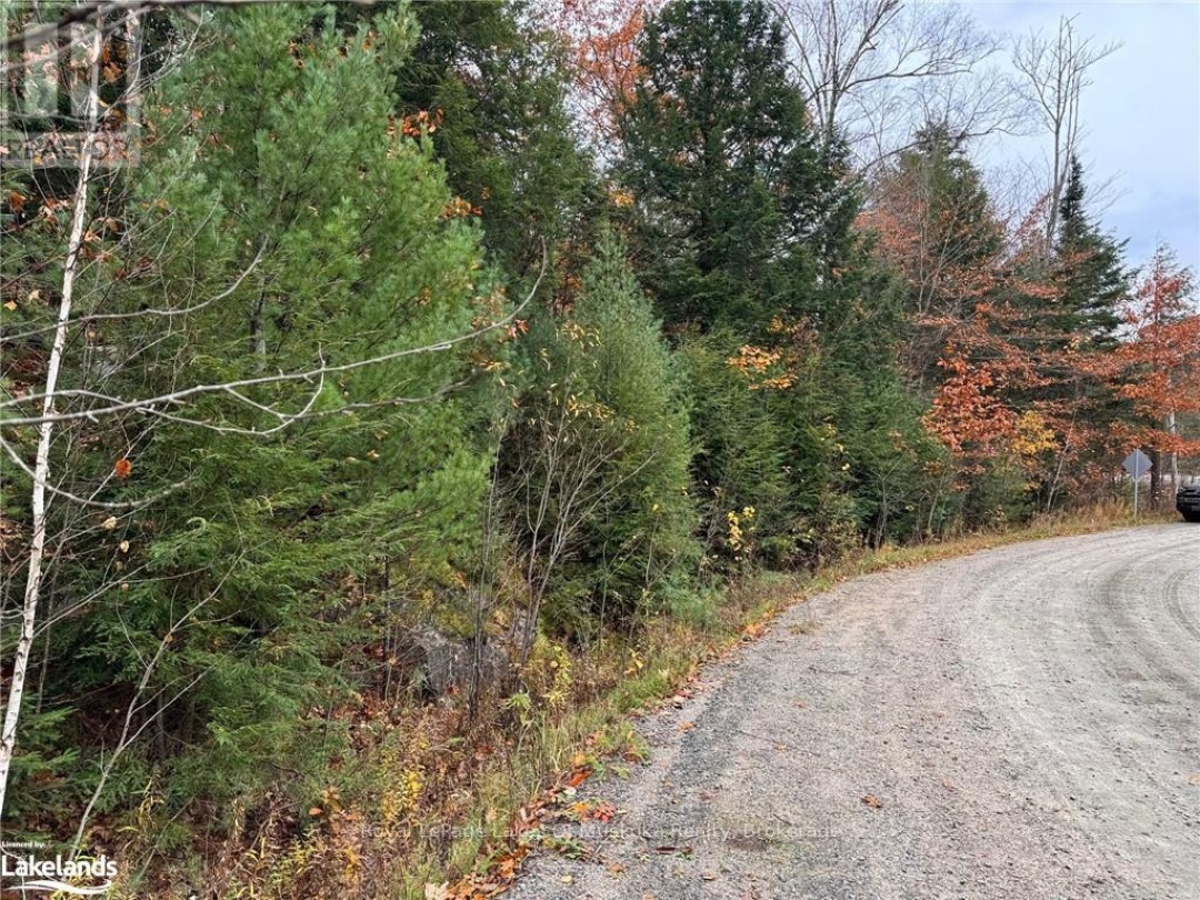 0 LATVIAN ROAD, Bracebridge (Draper)