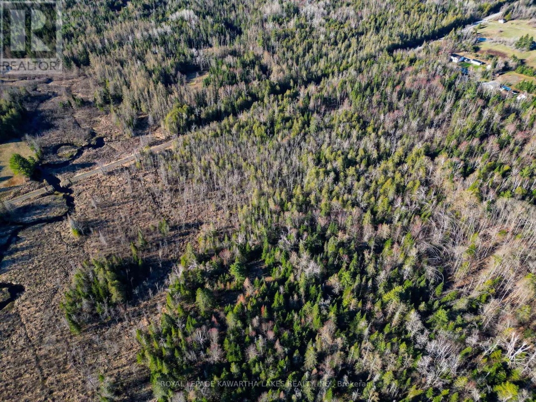 LT 4 DUTCH LINE ROAD W, Trent Lakes