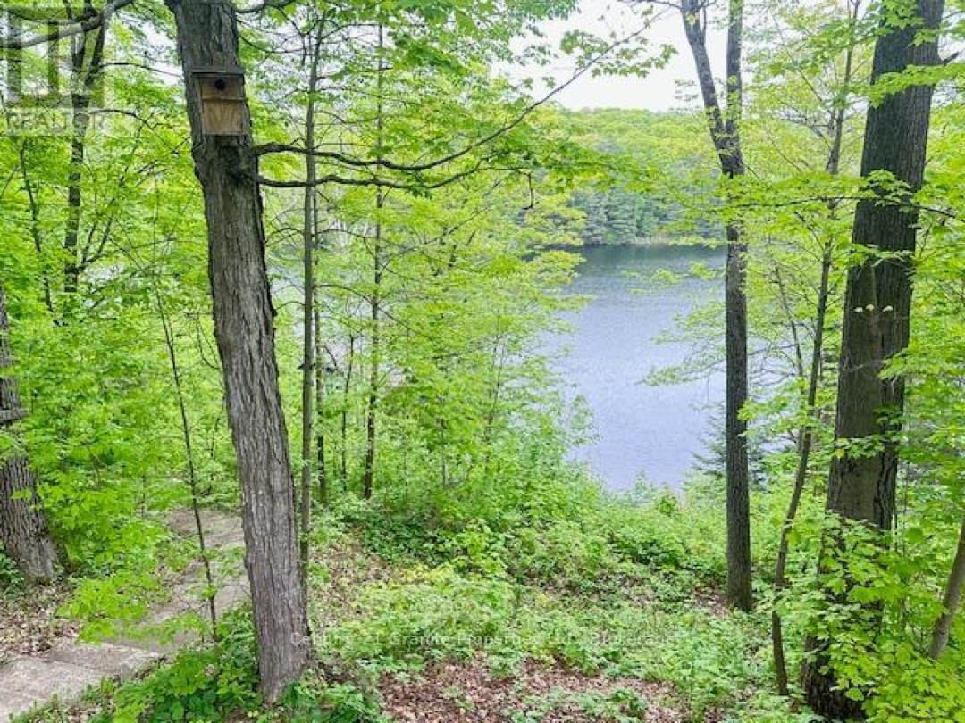 131 DOWNES ROAD, Horseshoe Lake