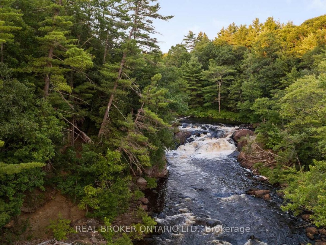 1401 COOPERS FALLS ROAD, Black River