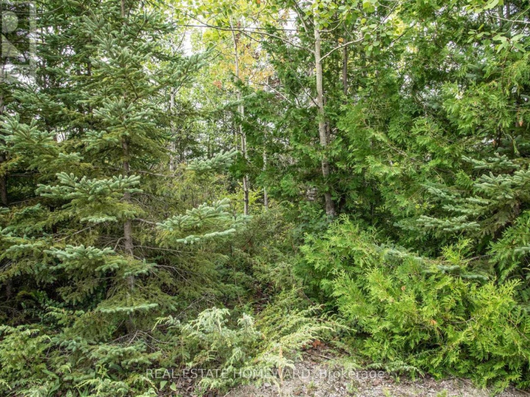254-256 MCGUIRE BEACH ROAD, Kawartha Lakes (Carden)
