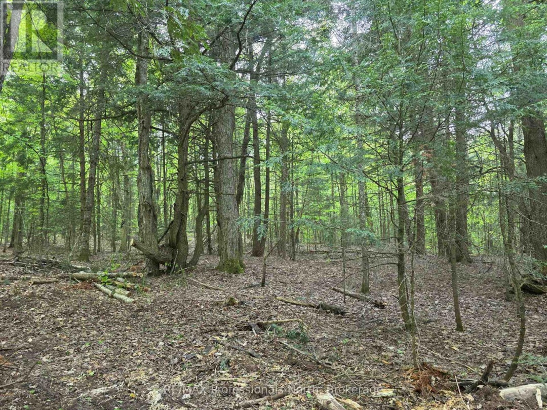 1163 25TH LINE ROAD, Algonquin Highlands (Stanhope)