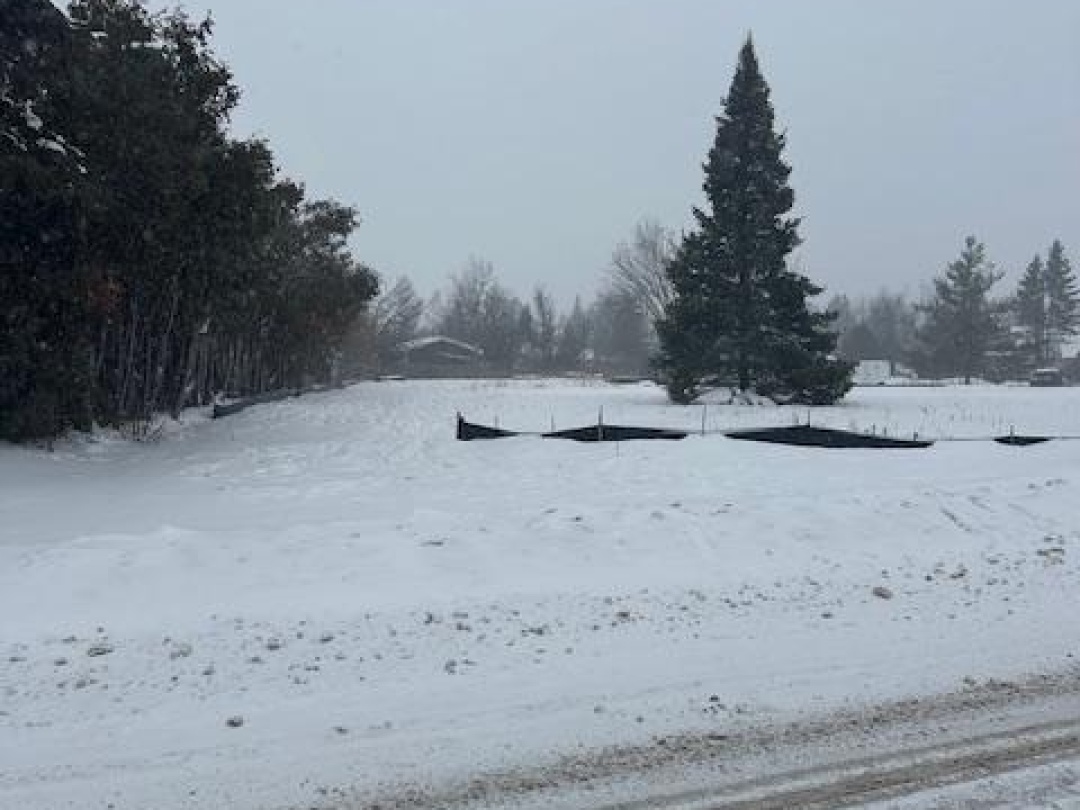 108 MAIN STREET, Kawartha Lakes (Bobcaygeon)