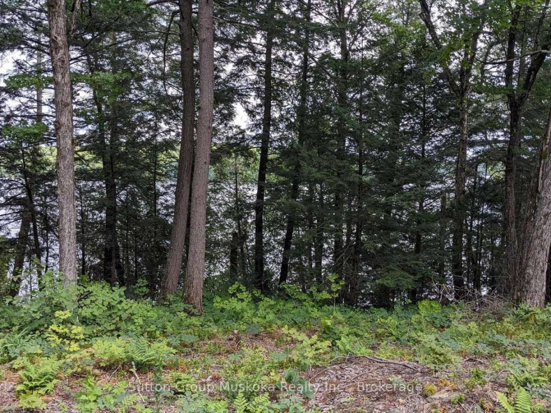 LOT 1 ESIG LANE, Rebecca Lake