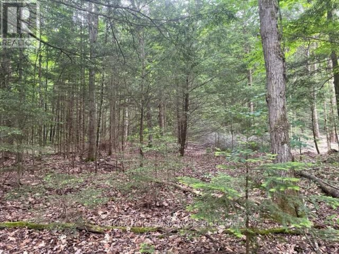 0 BIG HAWK LAKE ROAD, Algonquin Highlands (Stanhope)