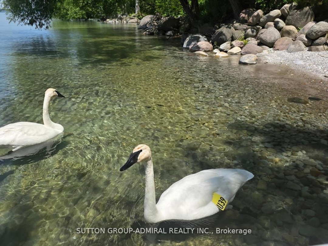 2232 LAKESHORE DRIVE, 