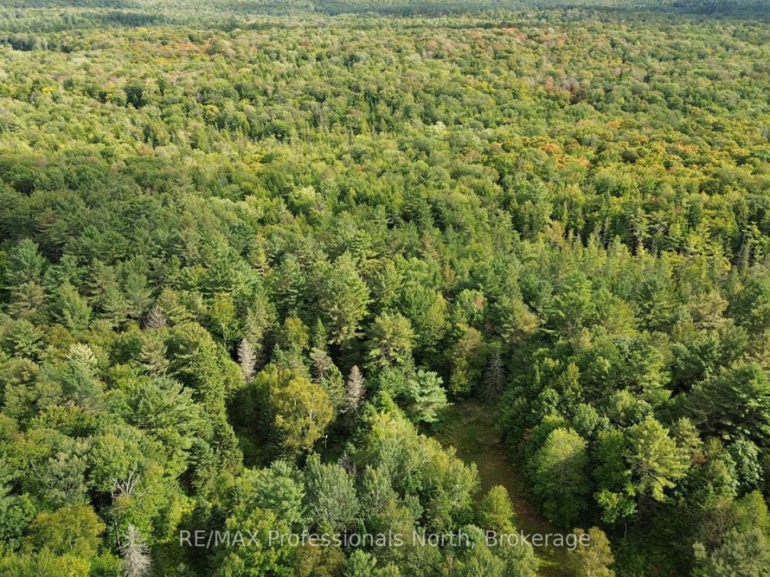 671 LYNX LAKE ROAD, 