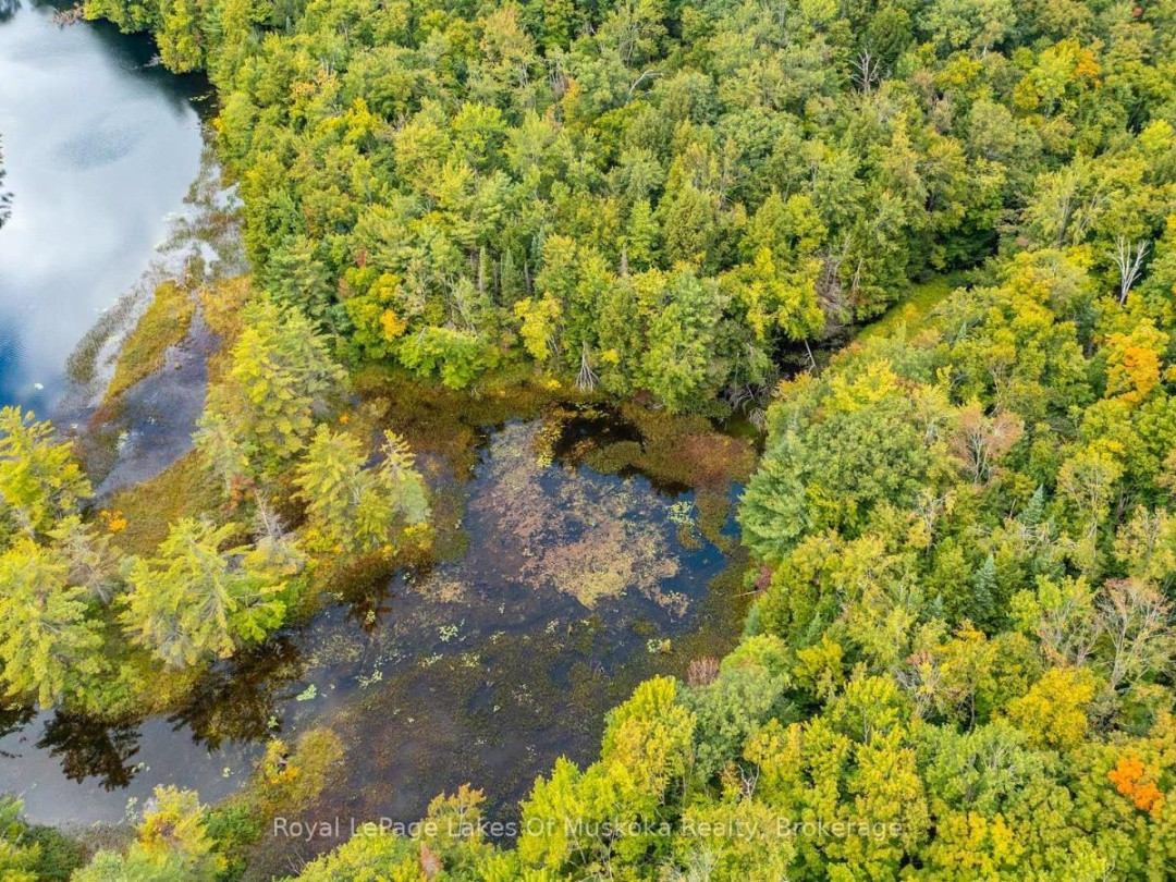 0 MUSKOKA RIVER, 