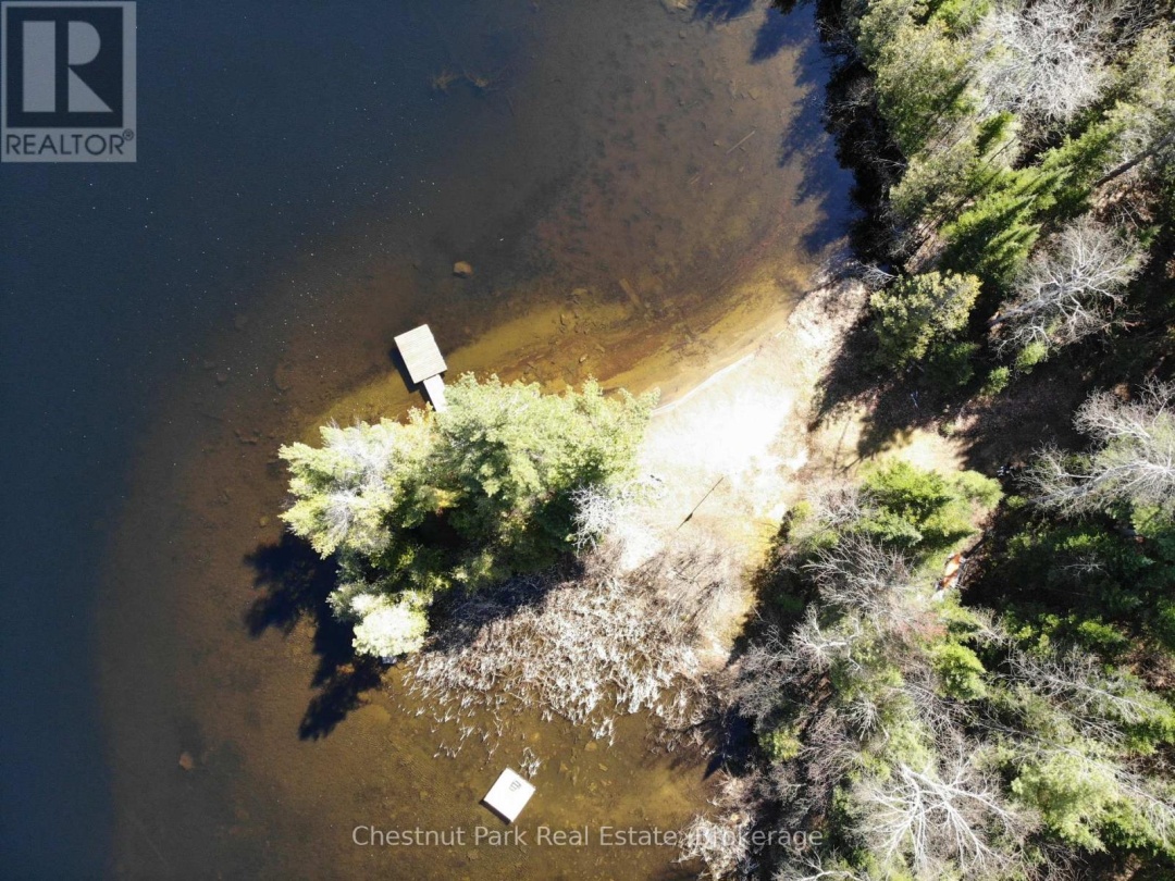 10453 COUNTY ROAD 503 ROAD, Gooderham Lake